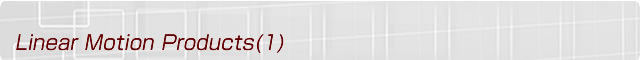 liner motion prodcts(1)